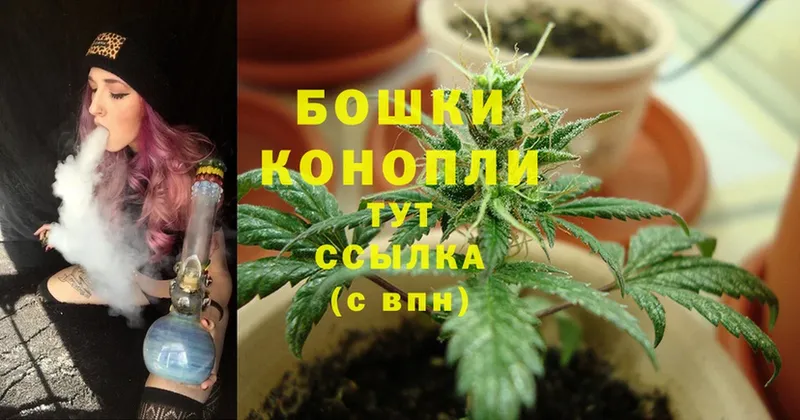 Бошки марихуана LSD WEED  Петровск 